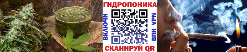 сайты даркнета наркотические препараты  Павловская  Еда ТГК конопля 