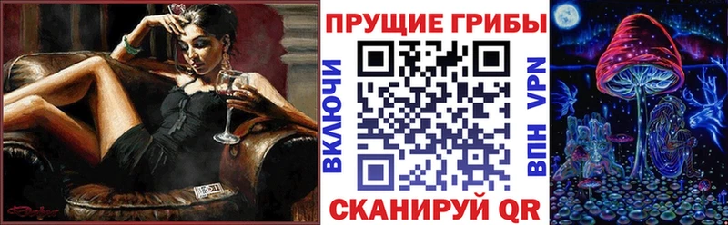 как найти   Павловская  Псилоцибиновые грибы мицелий 